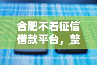 合肥不看征信借款平台，整合5个一点分期借款平台