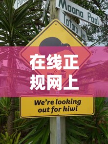 在线正规网上贷款平台：推荐5个大老黑能下款的口子