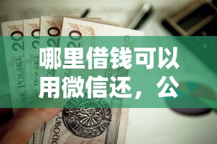 哪里借钱可以用微信还，公布5个容易过的贷款平台