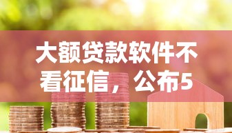 大额贷款软件不看征信，公布5个六十五岁以上借款平台