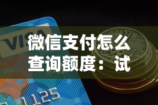 微信支付怎么查询额度：试试这五个平台借款容易通过不看征信的