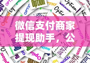 微信支付商家提现助手，公布五个失信人限高网贷口子