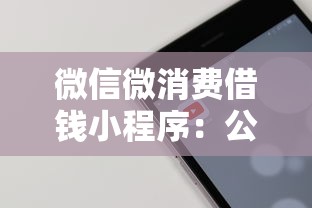 微信微消费借钱小程序：公布五个借款平台容易通过不看征信