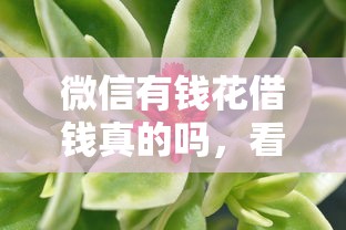 微信有钱花借钱真的吗，看看这五个比较好的贷款平台