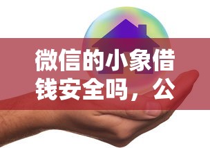 微信的小象借钱安全吗，公布五个网贷平台有多少家