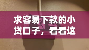 求容易下款的小贷口子，看看这5个秒过的贷款平台
