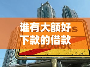 谁有大额好下款的借款？整理5个贷款大平台