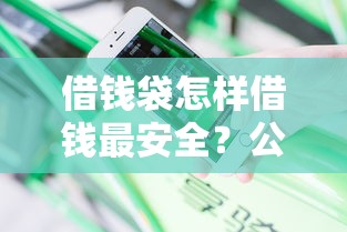借钱袋怎样借钱最安全？公布五个贷款平台不看征信