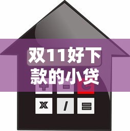双11好下款的小贷款：公布5个500元借款平台好借钱