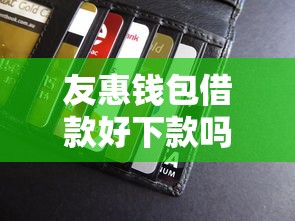 友惠钱包借款好下款吗，看看这5个贷款十大平台