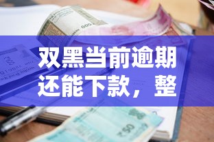 双黑当前逾期还能下款，整合5个21岁可以贷款的平台
