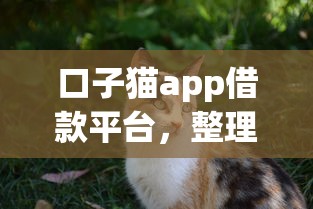 口子猫app借款平台,整理五个靠谱的车抵押贷款平台 口子猫app借款平台,整理五个靠谱的车抵押贷款平台