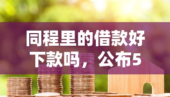 同程里的借款好下款吗，公布5个小米贷款平台