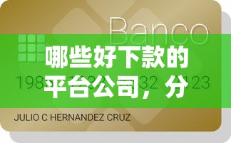 哪些好下款的平台公司，分享5个借五千块钱的秒下的贷款平台