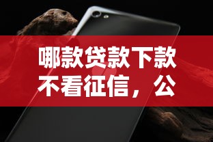 哪款贷款下款不看征信，公布5个借钱好的平台