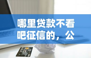 哪里贷款不看吧征信的，公布5个征信不良的黑户在平台可以借款
