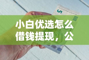 小白优选怎么借钱提现，公布5个借300块钱用什么软件