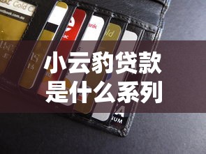 小云豹贷款是什么系列：整理五个最新能下来钱的软件