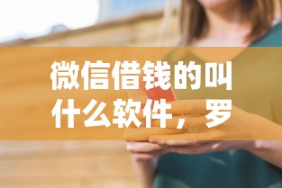 微信借钱的叫什么软件，罗列5个正规平台可以借钱