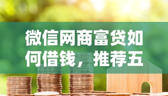 微信网商富贷如何借钱，推荐五个有适合60一65岁的贷款平台