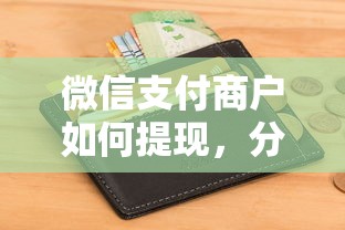 微信支付商户如何提现，分享5个征信花黑户都能下款的平台