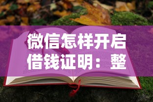 微信怎样开启借钱证明：整合五个那些平台可以贷款