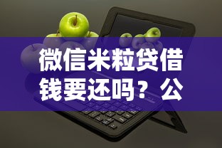 微信米粒贷借钱要还吗？公布五个无抵押贷款平台