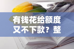 有钱花给额度又不下款？整合五个所有平台都借不到钱了还能借到钱的平台