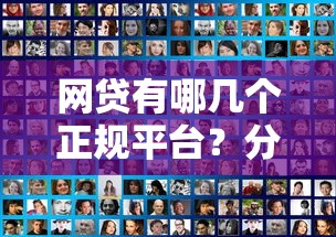 网贷有哪几个正规平台？分享5个网贷平台有多少家