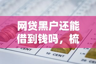 网贷黑户还能借到钱吗，梳理5个网贷查询平台