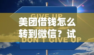 美团借钱怎么转到微信？试试这五个容易借钱的平台