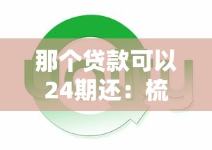 那个贷款可以24期还：梳理五个网贷平台哪些好下款