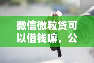 微信微粒贷可以借钱嘛，公布5个贷款买车平台