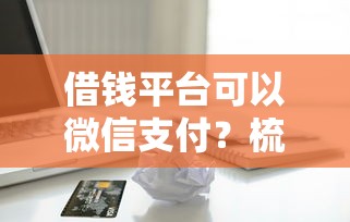 借钱平台可以微信支付？梳理五个11月能贷款的平台