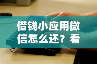 借钱小应用微信怎么还？看看这5个平台借钱不还怎么处理