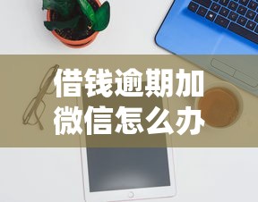 借钱逾期加微信怎么办,推荐5个微博专享借钱平台 借钱逾期加微信怎么办,推荐5个微博专享借钱平台