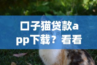 口子猫贷款app下载？看看这5个最新小额贷款必下口子