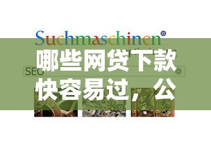哪些网贷下款快容易过，公布5个低息借款平台