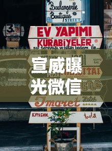 宣威曝光微信借钱的人，推荐五个黑户征信花了能借钱的平台