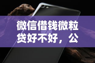 微信借钱微粒贷好不好，公布5个不看负债的贷款平台
