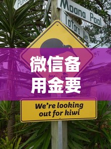 微信备用金要多少利息：推荐5个不上征信的黑口子