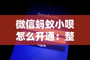 微信蚂蚁小呗怎么开通：整理五个各种黑还能下款的口子