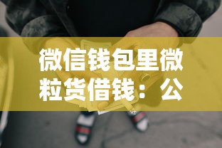 微信钱包里微粒货借钱：公布5个网贷太多被拒平台还能贷