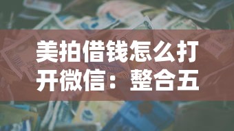 美拍借钱怎么打开微信：整合五个正规信用贷款平台