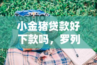 小金猪贷款好下款吗，罗列5个5000元贷款平台好