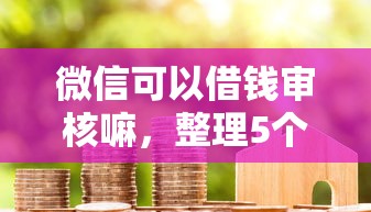 微信可以借钱审核嘛，整理5个黑户成功获取大额贷款的软件