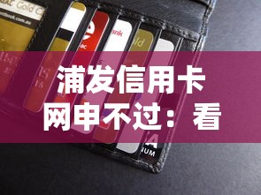 浦发信用卡网申不过：看看这五个最容易的贷款平台