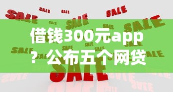 借钱300元app？公布五个网贷平台怎么推广