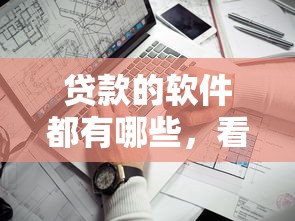 贷款的软件都有哪些，看看这5个征信花而且其他软件借不出钱了还可以借到钱100%通过的平台