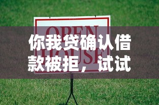 你我贷确认借款被拒，试试这五个车贷款平台